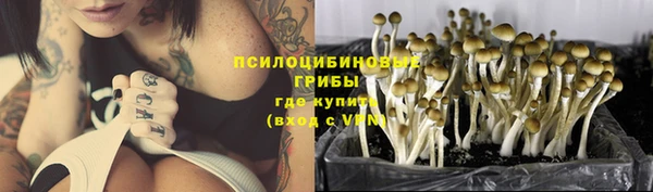 ALPHA-PVP Мегион