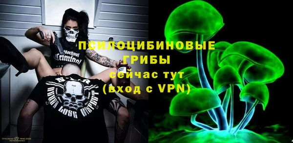 дмт Медногорск