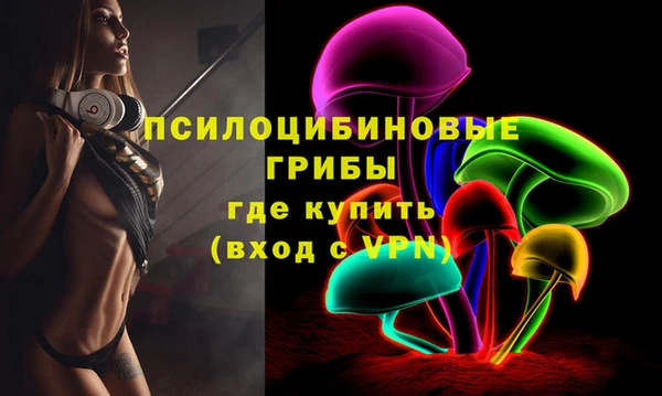 мескалин Медвежьегорск
